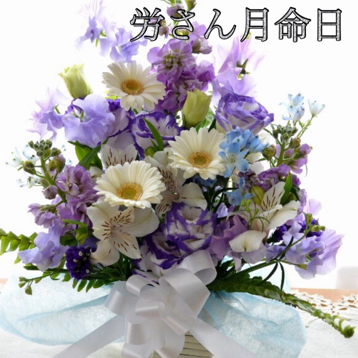 image.jpeg image.jpeg