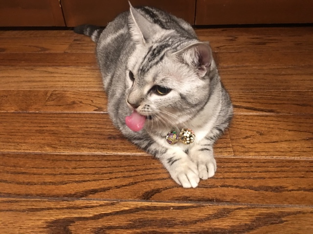 image.jpeg