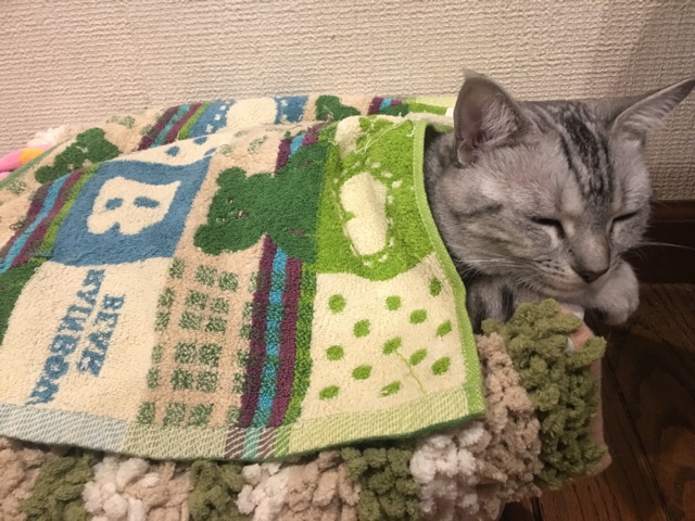image.jpeg