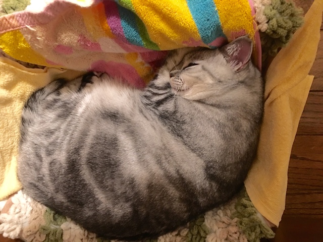 image.jpeg image.jpeg