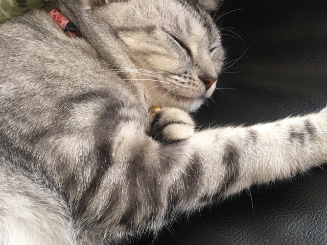 image.jpeg image.jpeg