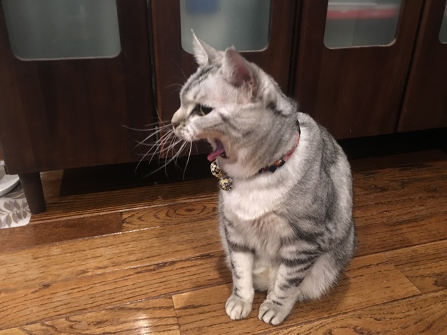 image.jpeg image.jpeg