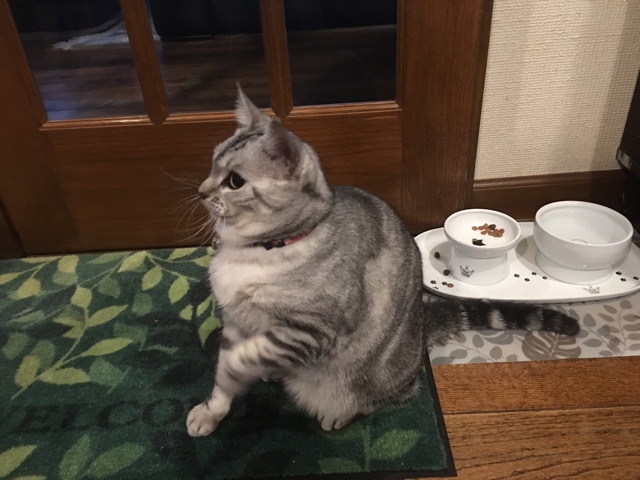 image.jpeg image.jpeg