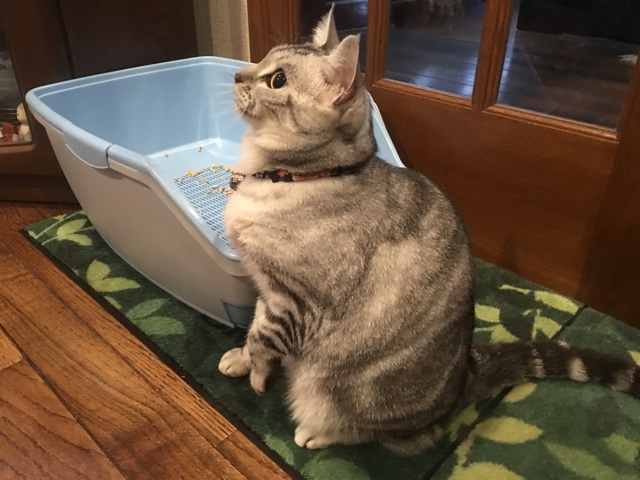 image.jpeg image.jpeg