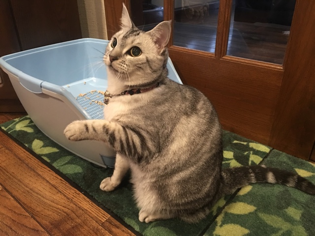 image.jpeg image.jpeg
