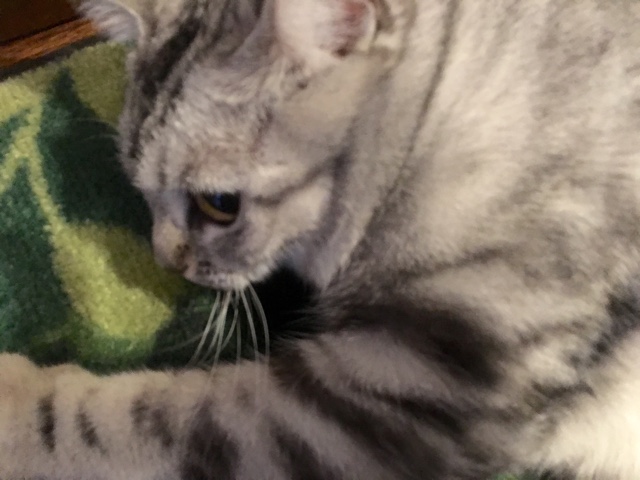 image.jpeg