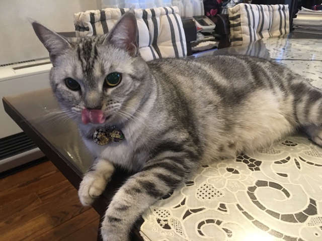 image.jpeg image.jpeg