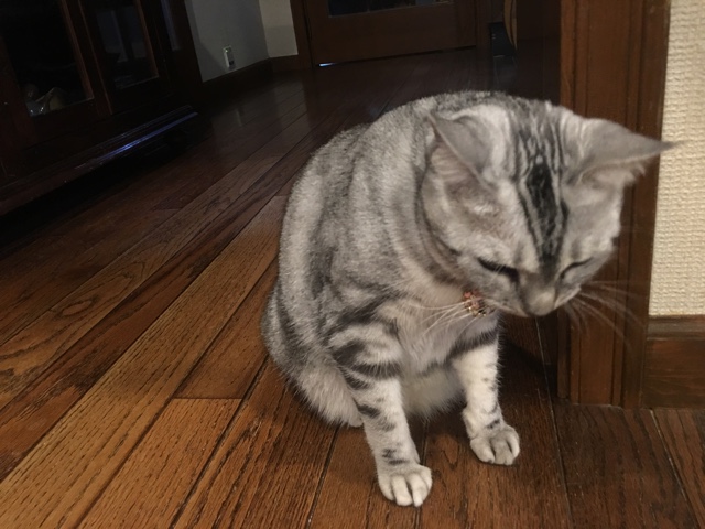 image.jpeg