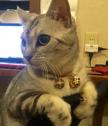 image.jpeg image.jpeg