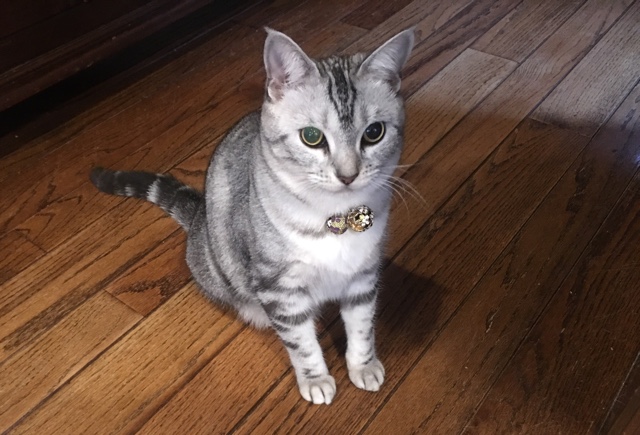 image.jpeg image.jpeg