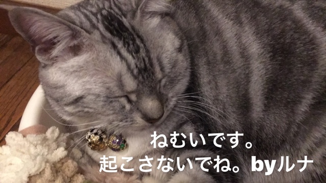 image.jpeg