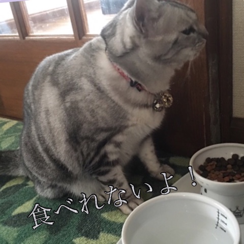 image.jpeg