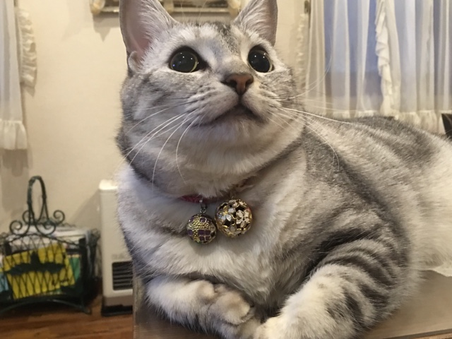 image.jpeg image.jpeg