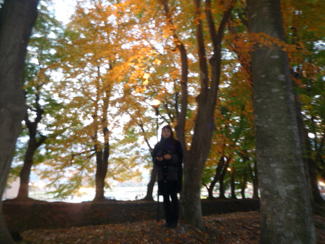 H21.11.8.JPG H21.11.8.JPG