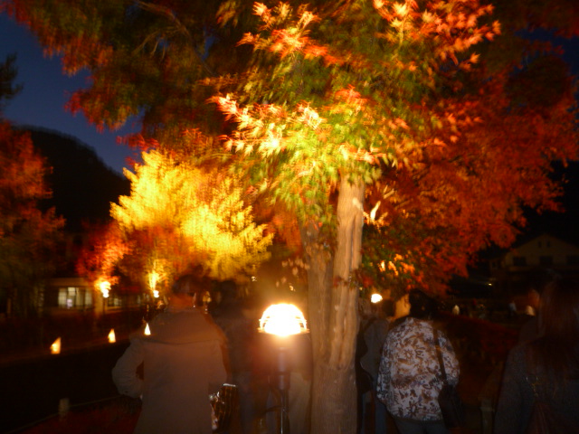 H.21.11.8.JPG H.21.11.8.JPG