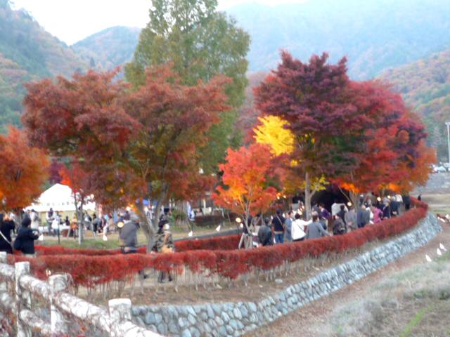 P1050357.JPG P1050357.JPG