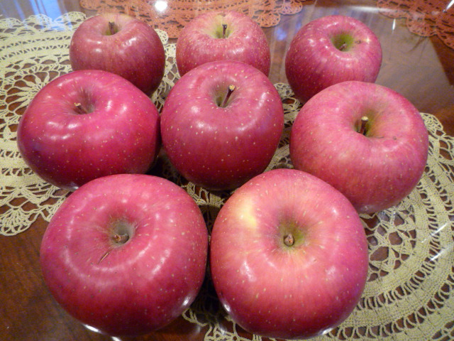 H211210.JPG