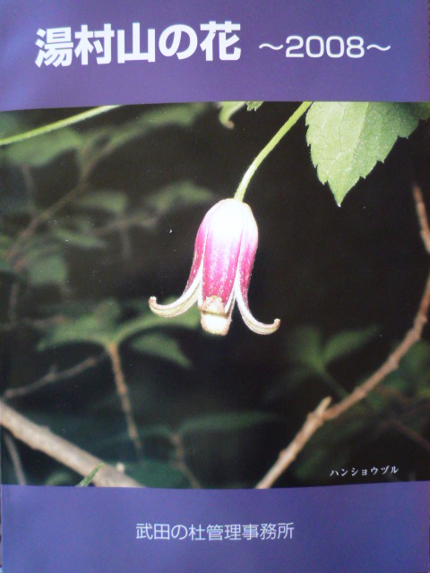 湯村山の花.JPG 湯村山の花.JPG
