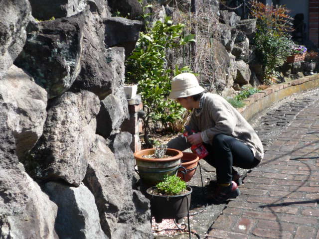 A.A様H22.3.11.JPG A.A様H22.3.11.JPG
