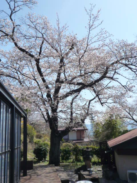 P1060767.JPG