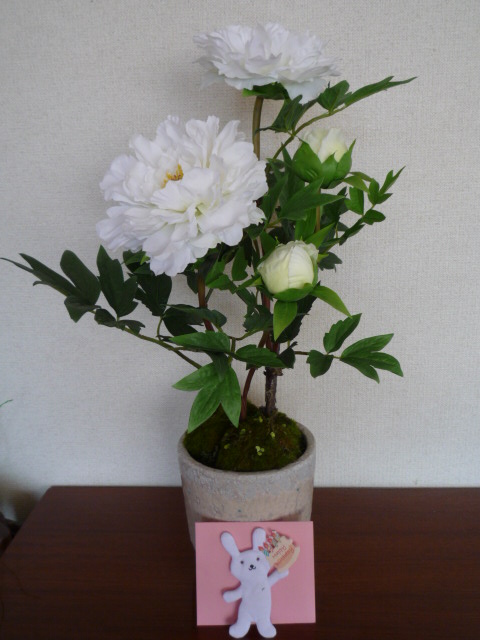 Y.Y様から.JPG Y.Y様から.JPG
