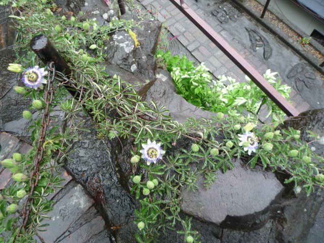 H.22.5.23.JPG
