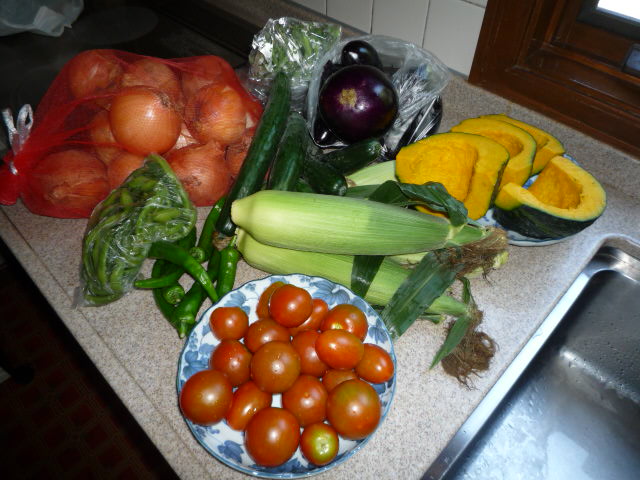 とれたてのお野菜H22.7.4.JPG とれたてのお野菜H22.7.4.JPG