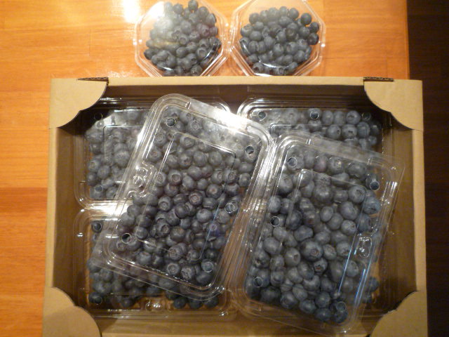 P1100509.JPG