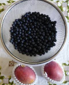 P1100766.JPG