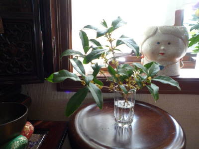 ںh2310.1.JPG