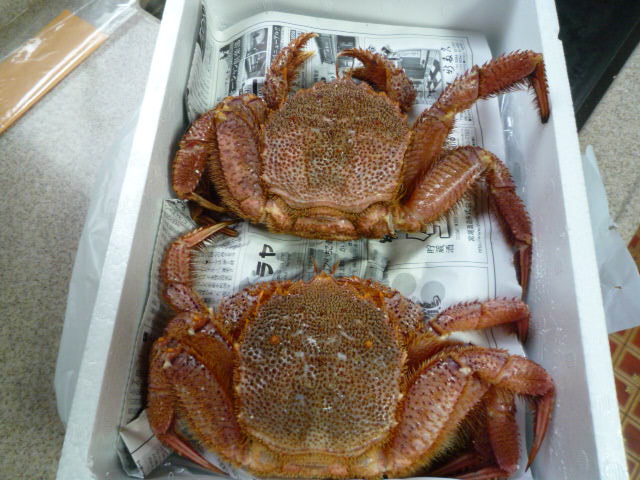 P1110005.JPG