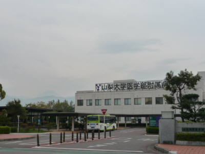 P1110028.JPG