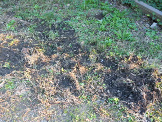 DSCN0076.JPG