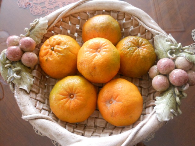 ݤ󤫤H24.1.11.JPG