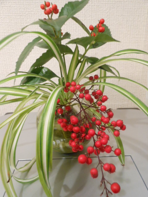 DSCN0711.JPG