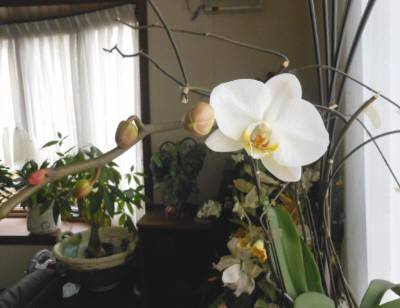 DSCN0814.JPG