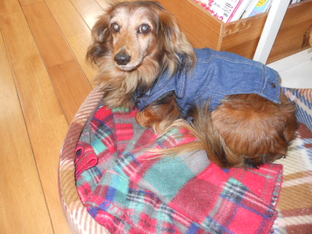 DSCN0920.JPG