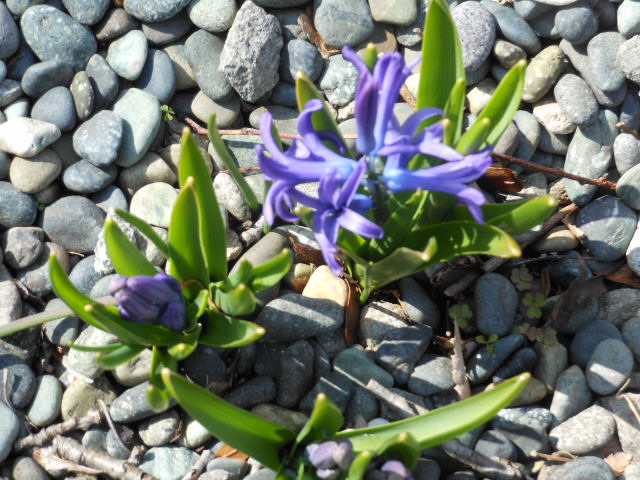 DSCN0969.JPG