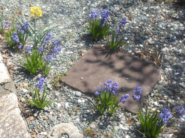 DSCN1108.JPG