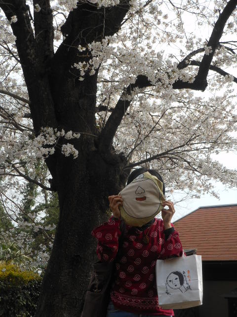 ڤβH24.4.10.JPG