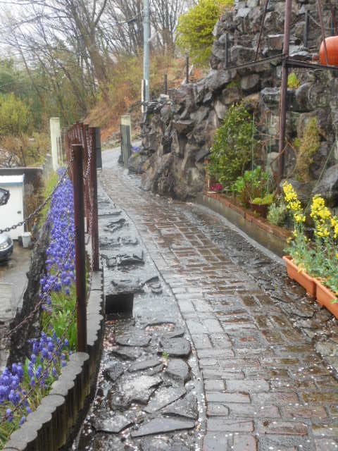 DSCN1236.JPG
