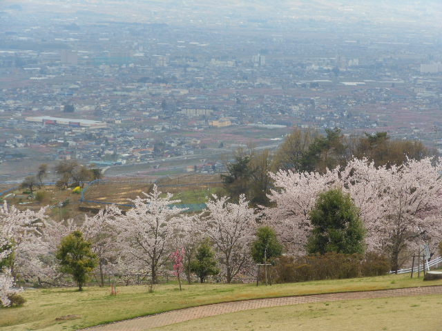 DSCN1293.JPG