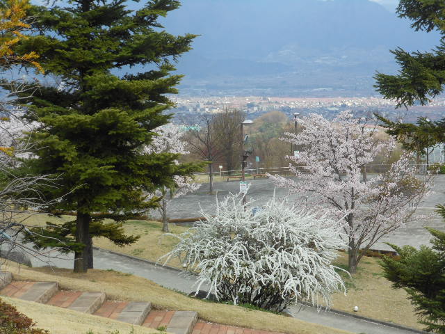 DSCN1294.JPG