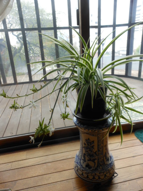 DSCN1354.JPG