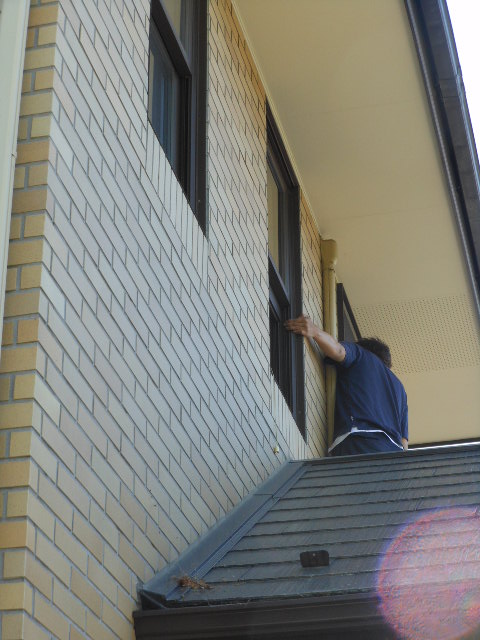 DSCN1563.JPG