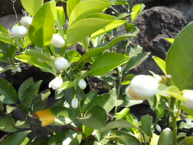 DSCN1628.JPG