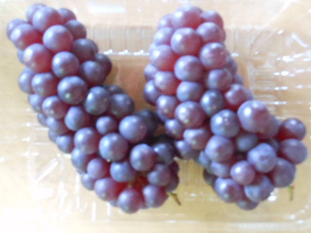 masaͤh24.5.31.JPG