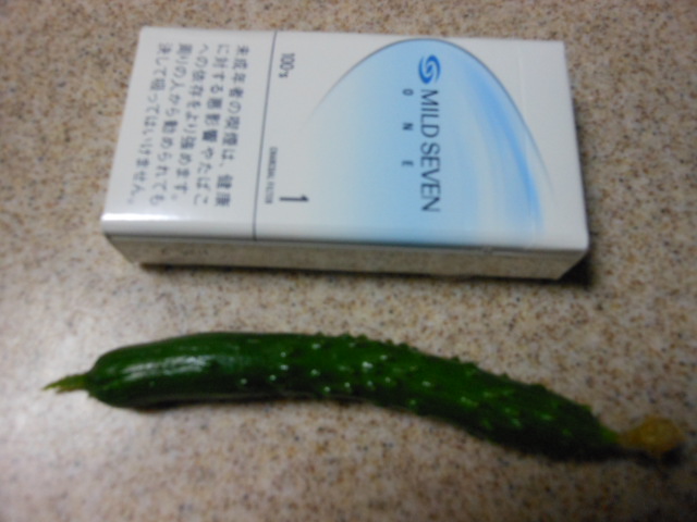 DSCN1873.JPG