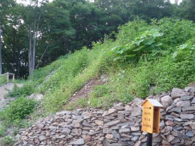 遊歩道の雑草.JPG 遊歩道の雑草.JPG