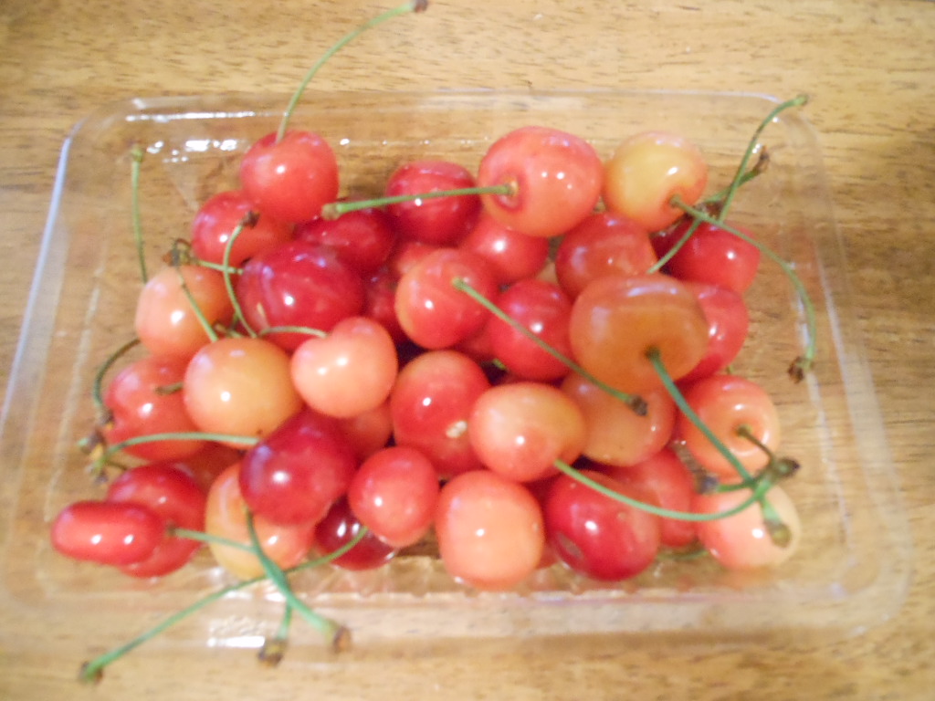 DSCN2064.JPG